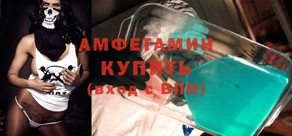 сатива Кохма