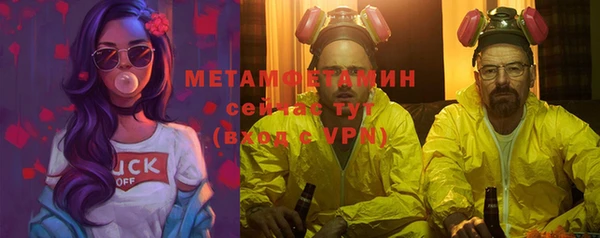 сатива Кохма