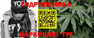 соль ск Гатчина