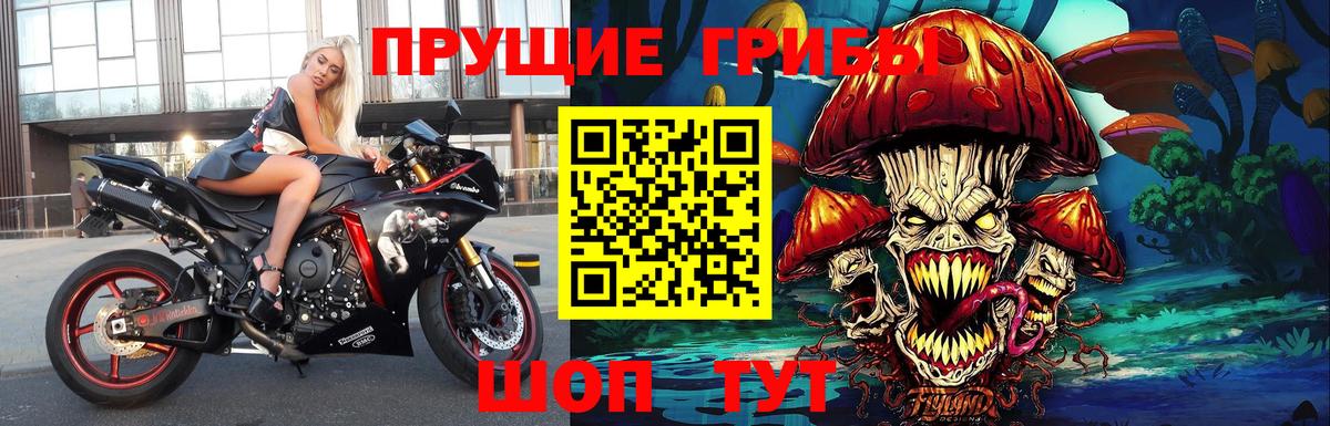 Псилоцибиновые грибы Psilocybine cubensis  Вход с VPN  Подольск  наркошоп  Галлюциногенные грибы GOLDEN TEACHER 