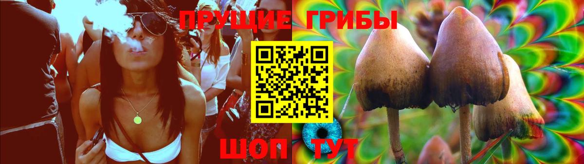 Псилоцибиновые грибы Psilocybine cubensis Подольск